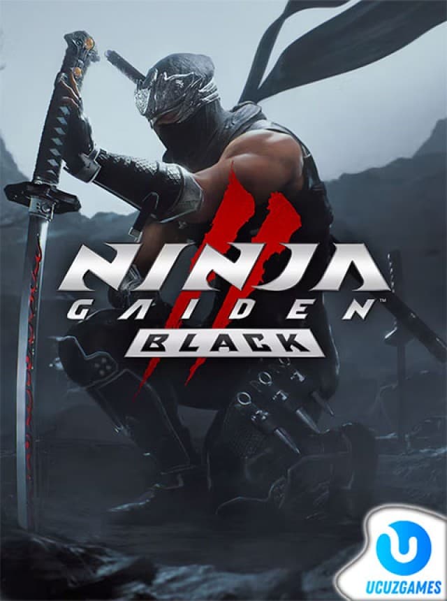 NINJA GAIDEN 2 Black