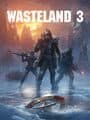 Wasteland 3
