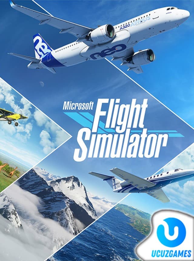 Microsoft Flight Simulator
